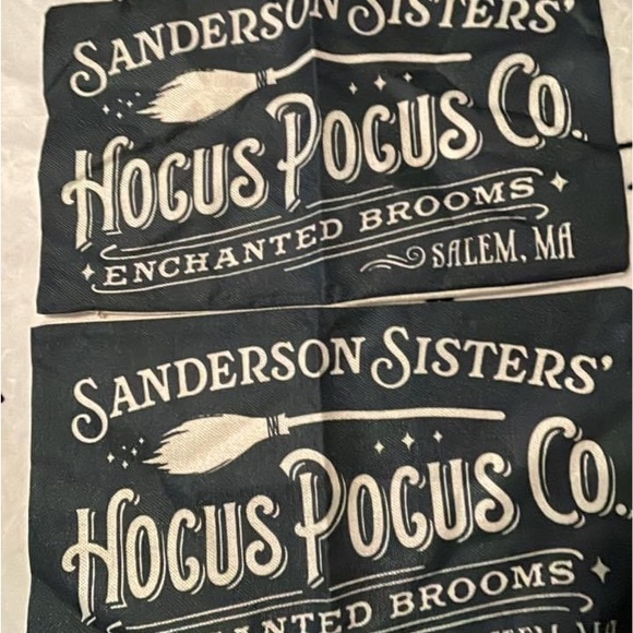 Set of Hocus Pocus pillowcases Halloween Sanderson Sisters small pillowcases - Picture 1 of 3